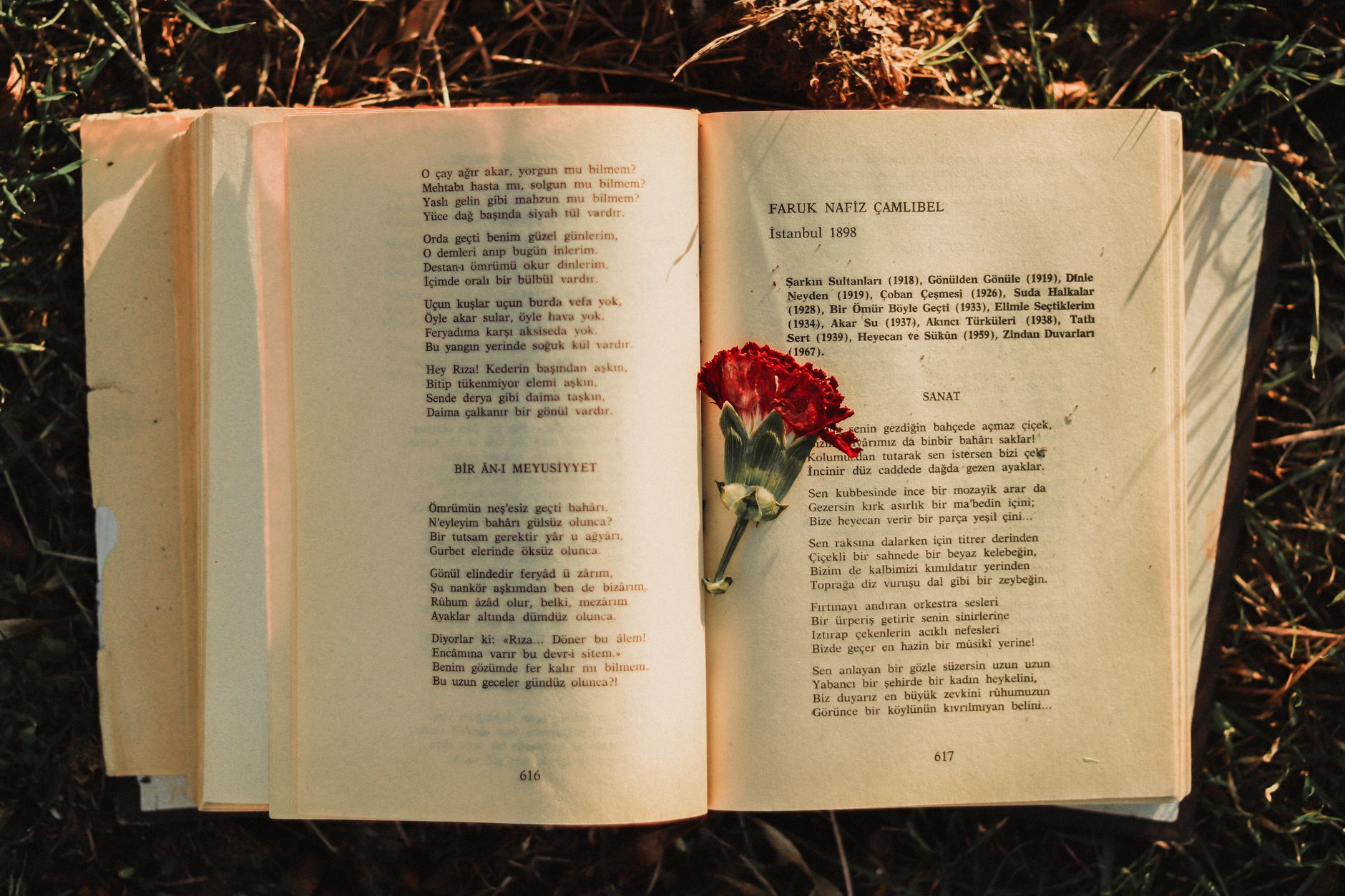 Li Bai poetry reference used for explaining classical poem meaning