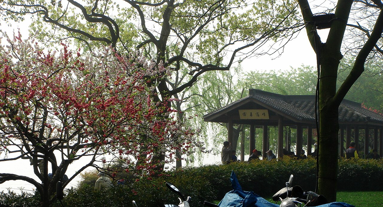 meng haoran spring dawn poem meaning opening image showing spring dawn China in a clear landscape context